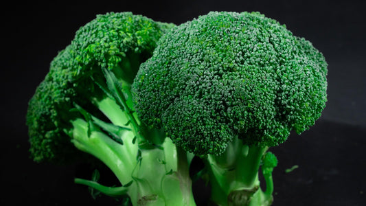 Steamed Broccoli - Sanz Solutions Health and Longevity