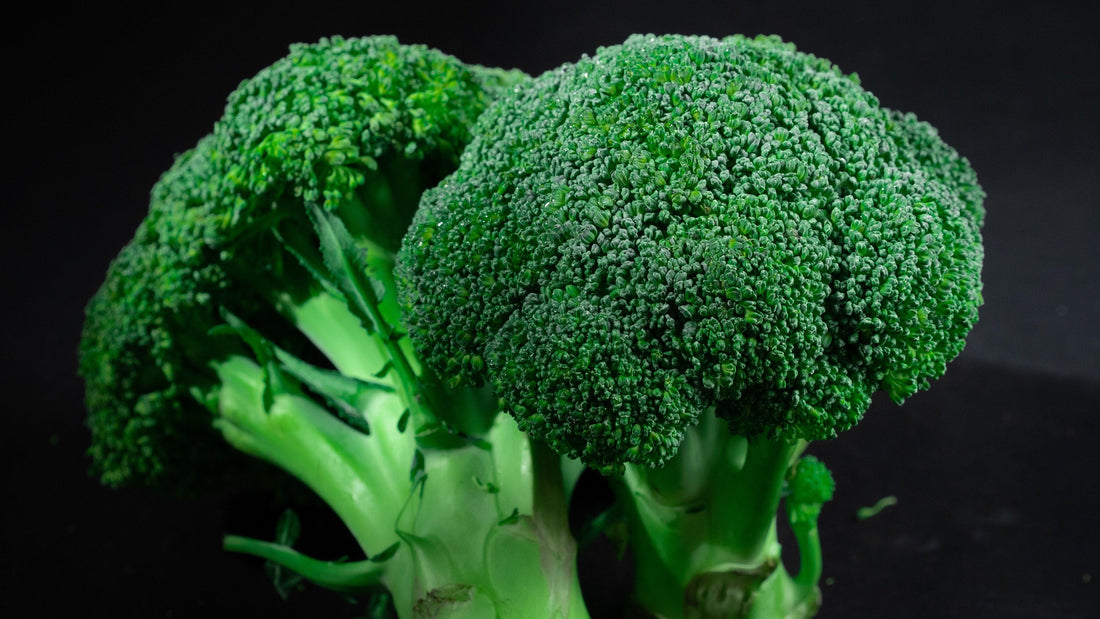 Steamed Broccoli - Sanz Solutions Health and Longevity